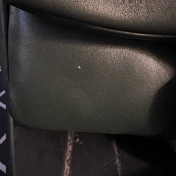 Coach, pillow tabby - Picture 5 of 7